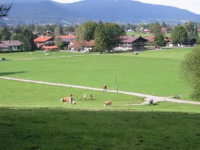 Familien Bauernhof Berghammer - Image 3