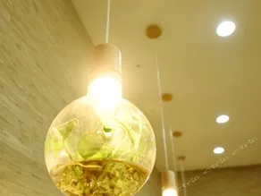 Haosheng Lidu Hotel - Image 2