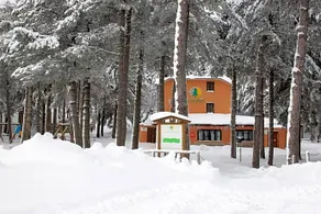 La Pinetina - Image 5