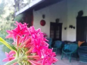 The Retreat - Image 3