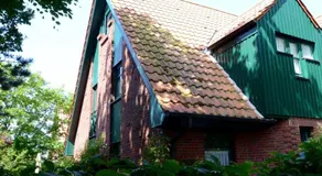 FH Austernfischer I/Nr. 1 - Image 3