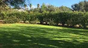 Casa do Algarve - Image 3
