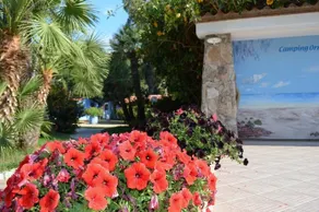Camping Village Orrì - Image 3