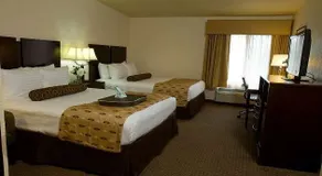 Best Western Plus Antioch Hotel & Suites - Image 3