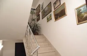 B&B Tomic - Image 3