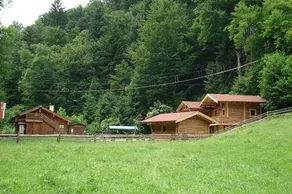 Tobelmühlhof - Image 5