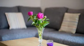 Apartment Ani - Image 4