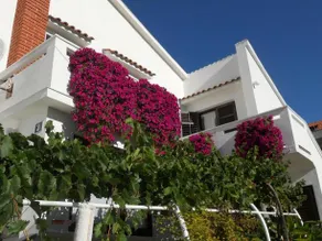 Apartments Mihalic - Image 2