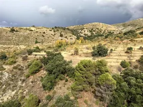 Cortijo la Argumosa - Image 3