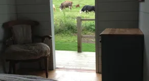 Shed & Breakfast - Image 3