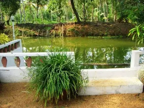 The backwater Heritage home stay - Image 2