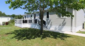 Quince 10 - Image 2