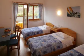 Hotel Bor - Debeli Rtic - Image 3
