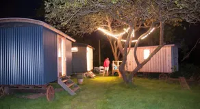 Shed & Breakfast - Image 5