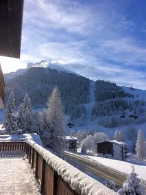 Chalet-Hôtel du Borderan - Image 5