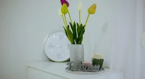 Apartman Lotta - Image 4