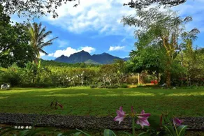 Millennium Beach House - Image 4