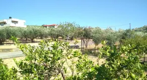 Eden Garden Villa - Image 4