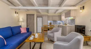 Diogenis House traditional vacation family place - Image 2