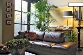 Dinelli's Guesthouse - Image 2