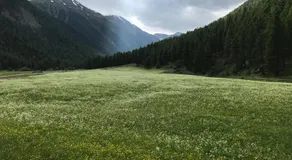 Chesa Piz d'Esan - Image 3