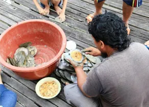 Kolapis Water Village Stays - Image 5