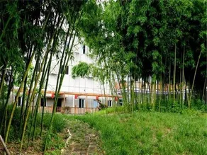 East Huangshan Youth Hostel - Image 5
