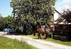 Gasthaus Pension Zum Brandweiher - Image 5