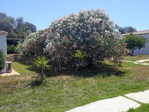 Hotel Baia Cea - Image 2