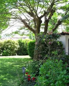 Hôtel Arocena - Image 4