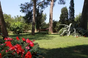 Agriturismo La Ronca - Image 4