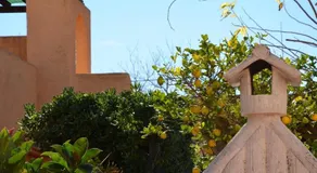 Casa Tavernes - Image 4