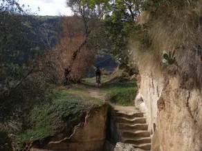 Ville Ulivo - Limone - Image 4