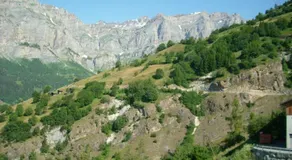 HAUS ZAYETTA - Image 2
