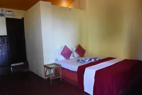 Vailankanni Cottage Mandrem - Image 4