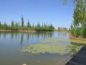 JINGZHUDAO HOLIDAY HOTEL - Image 5