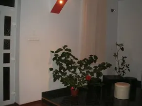 Casa Bia - Image 4