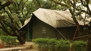 Corbett Call - Image 2