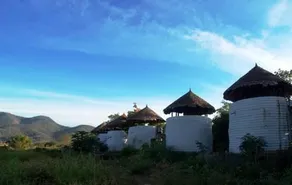 Pai A Ars - Image 2