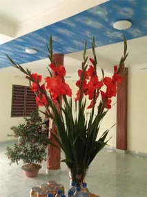 Thuy Dong Guest House - Image 4