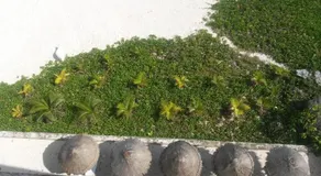 Cancun Lovely Apartment - Image 5