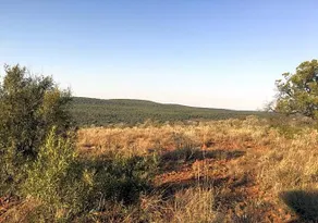 Moledi Gorge - Image 4