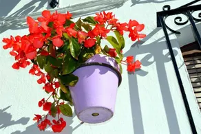 Casa Teresa Estepona - Image 3