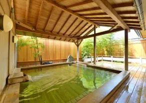 Akita Onsen Plaza - Image 3