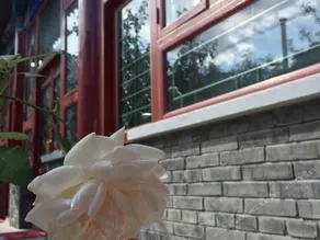 Yu's Courtyard - Image 5