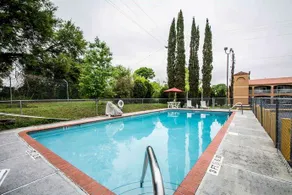 High Springs Inn - Image 5