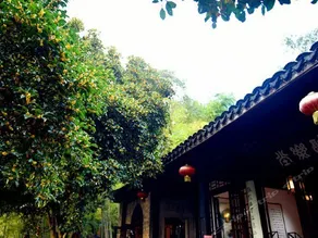 Islet Healthy Resort - Image 3