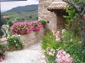 Il Borghetto di Bazzano - Image 3