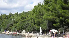 Apartments Delfin - Image 3
