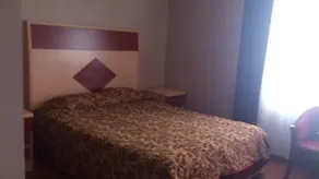 The Penguen Hotel - Image 2